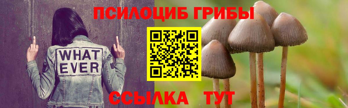 Псилоцибиновые грибы мицелий  что такое наркотик  Кизилюрт  Вход с VPN  Галлюциногенные грибы ЛСД 