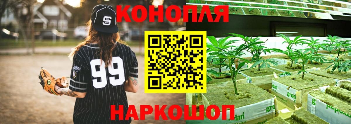 Бошки Шишки сатива Кизилюрт